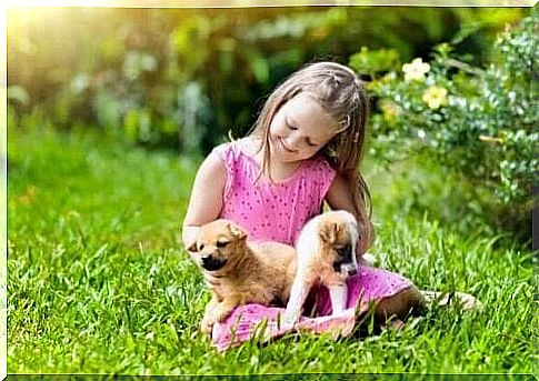 girl with two small dogs