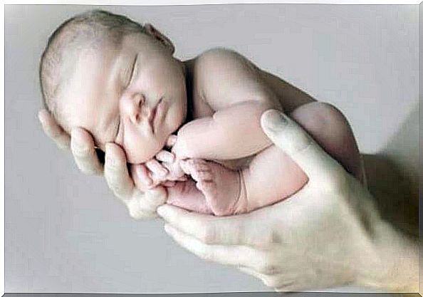 little baby sleeping in a pair of adult hands