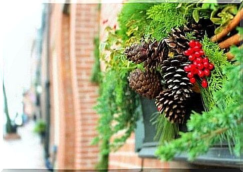 Christmas decorations in the garden: 6 good ideas