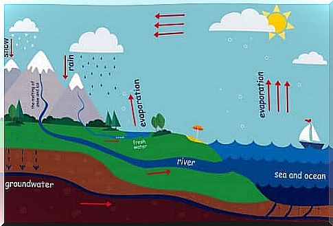 How to explain the water cycle to children