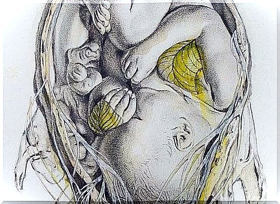 animation of fetus