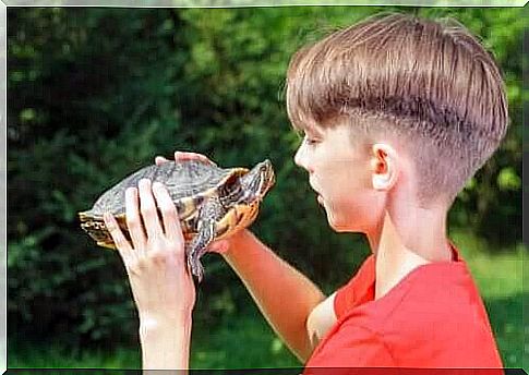 The turtle technique: Tricks to improve self-esteem