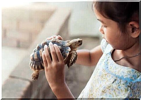 The turtle technique can make children self-esteem