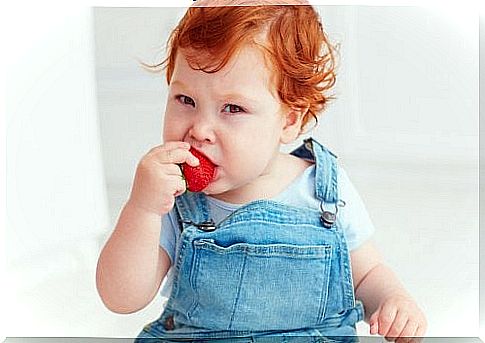 small child eating a strawberry